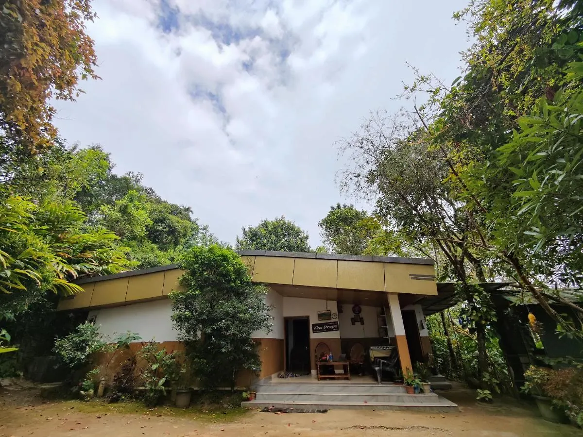 Munnar Home Stay Teadrops Plantation Villa 인도