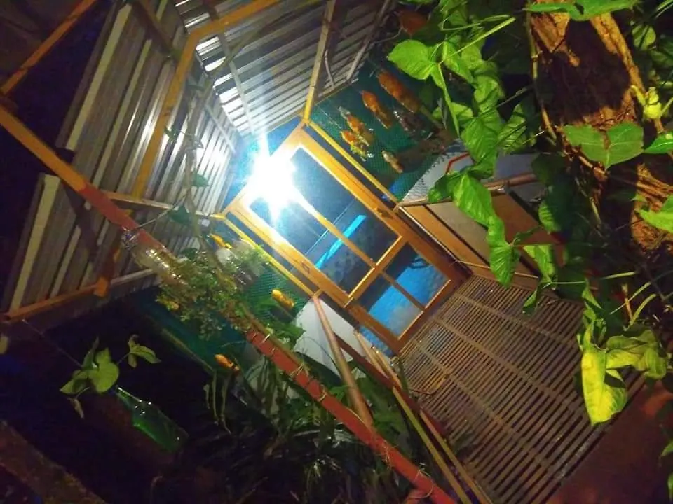 홈스테이 Munnar Home Stay Teadrops Plantation Villa 인도