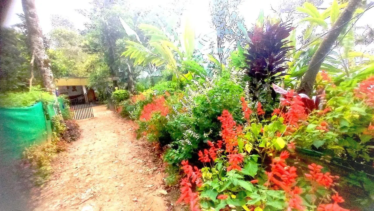 Munnar Home Stay Teadrops Plantation Villa Homestay