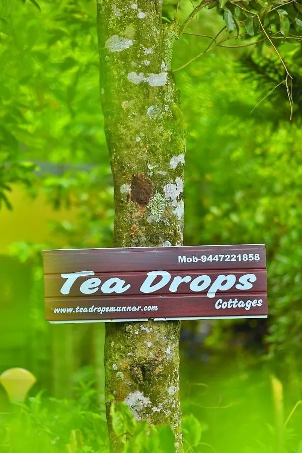 Munnar Home Stay Teadrops Plantation Villa Homestay