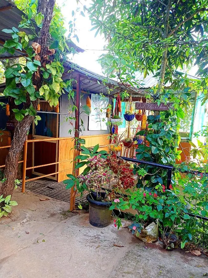 Munnar Home Stay Teadrops Plantation Villa India