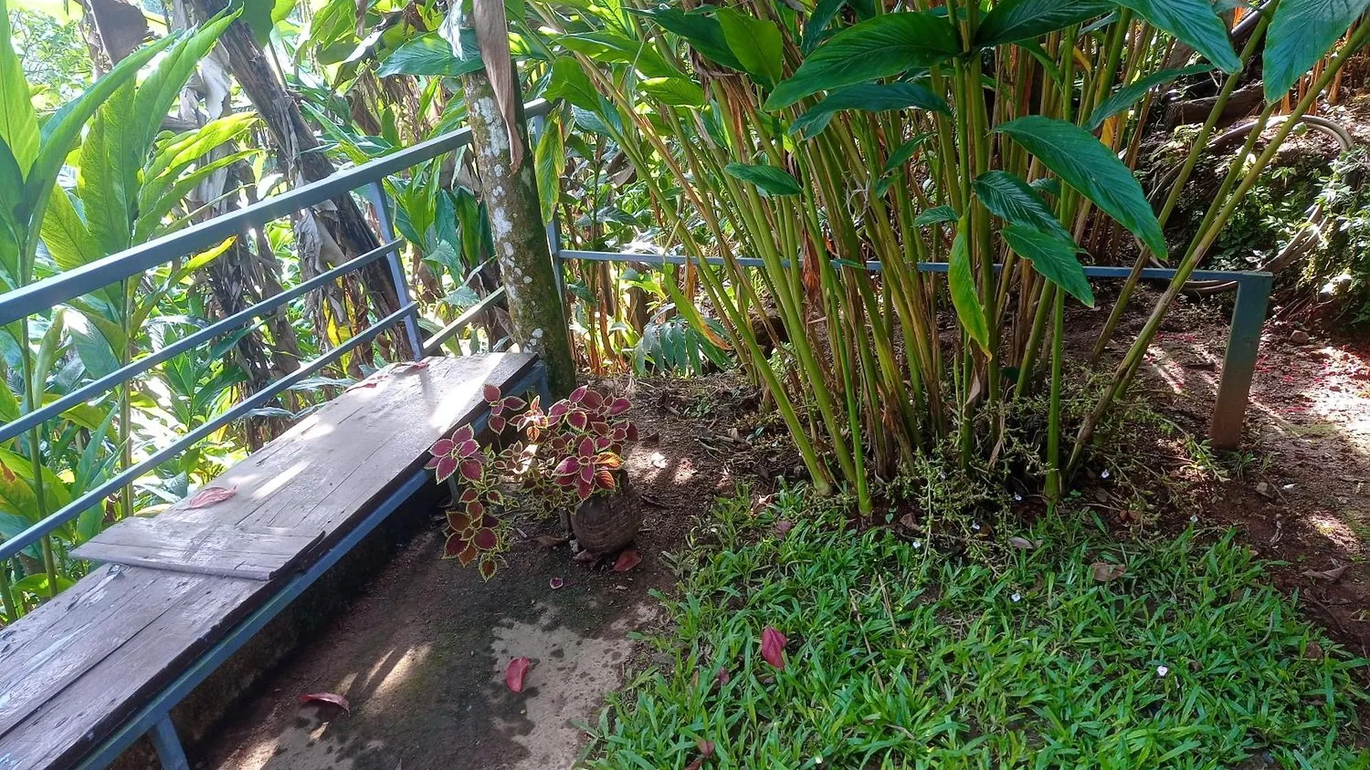 Munnar Home Stay Teadrops Plantation Villa India