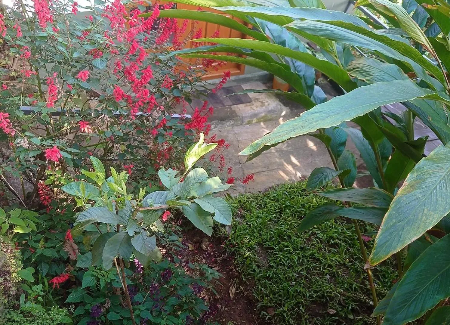 Homestay Munnar Home Stay Teadrops Plantation Villa India