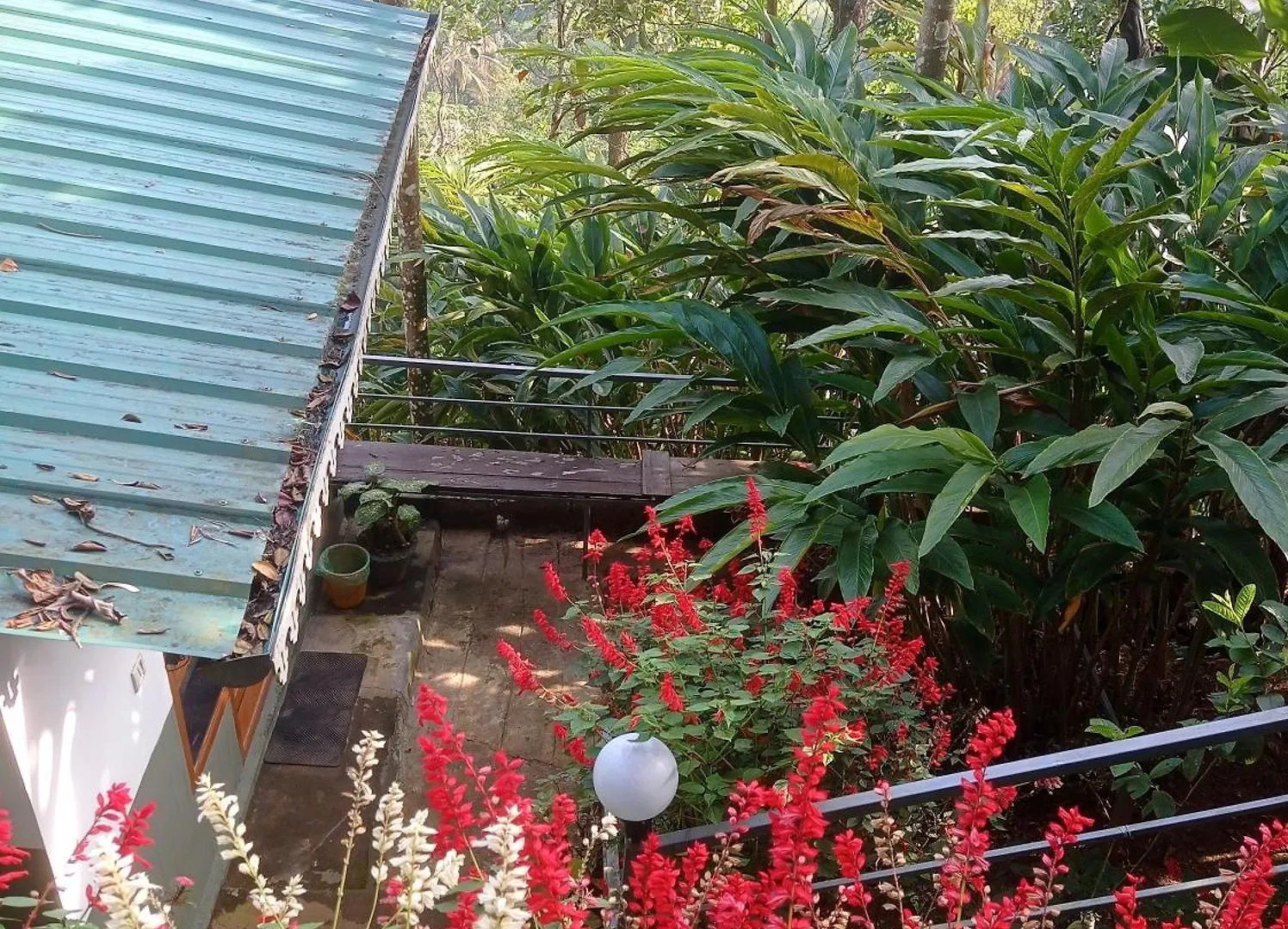 Homestay Munnar Home Stay Teadrops Plantation Villa