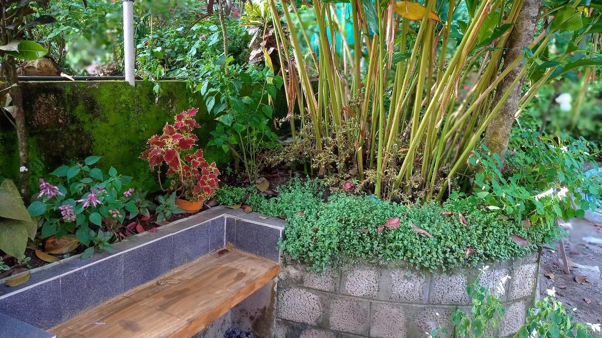 Munnar Home Stay Teadrops Plantation Villa 0*,
