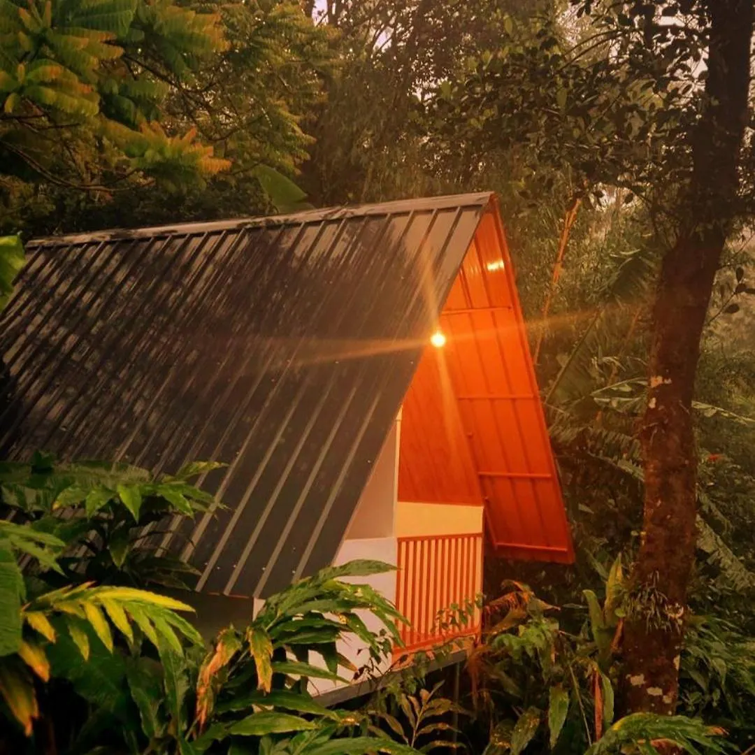 Munnar Home Stay Teadrops Plantation Villa