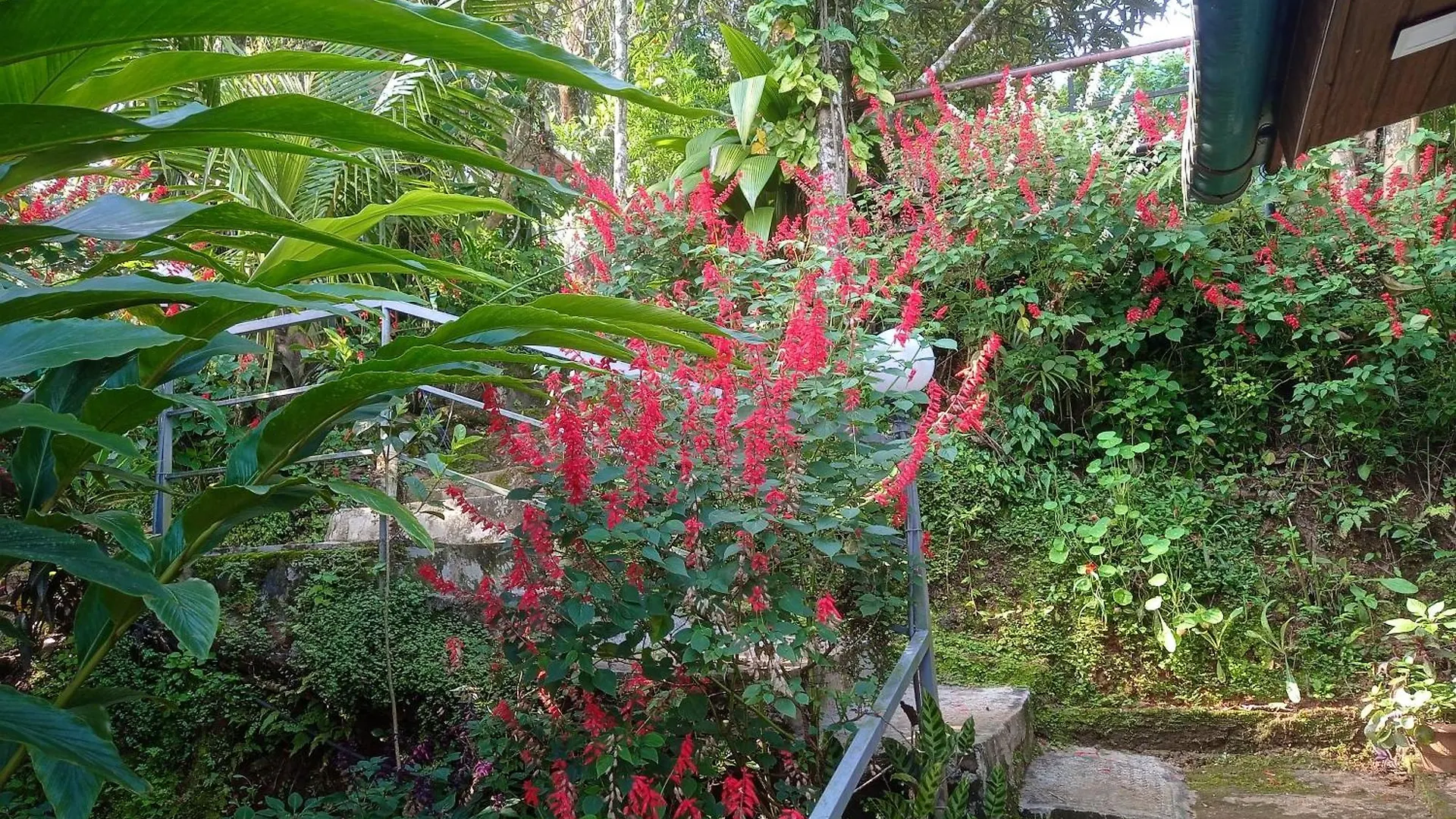 Munnar Home Stay Teadrops Plantation Villa 0*,
