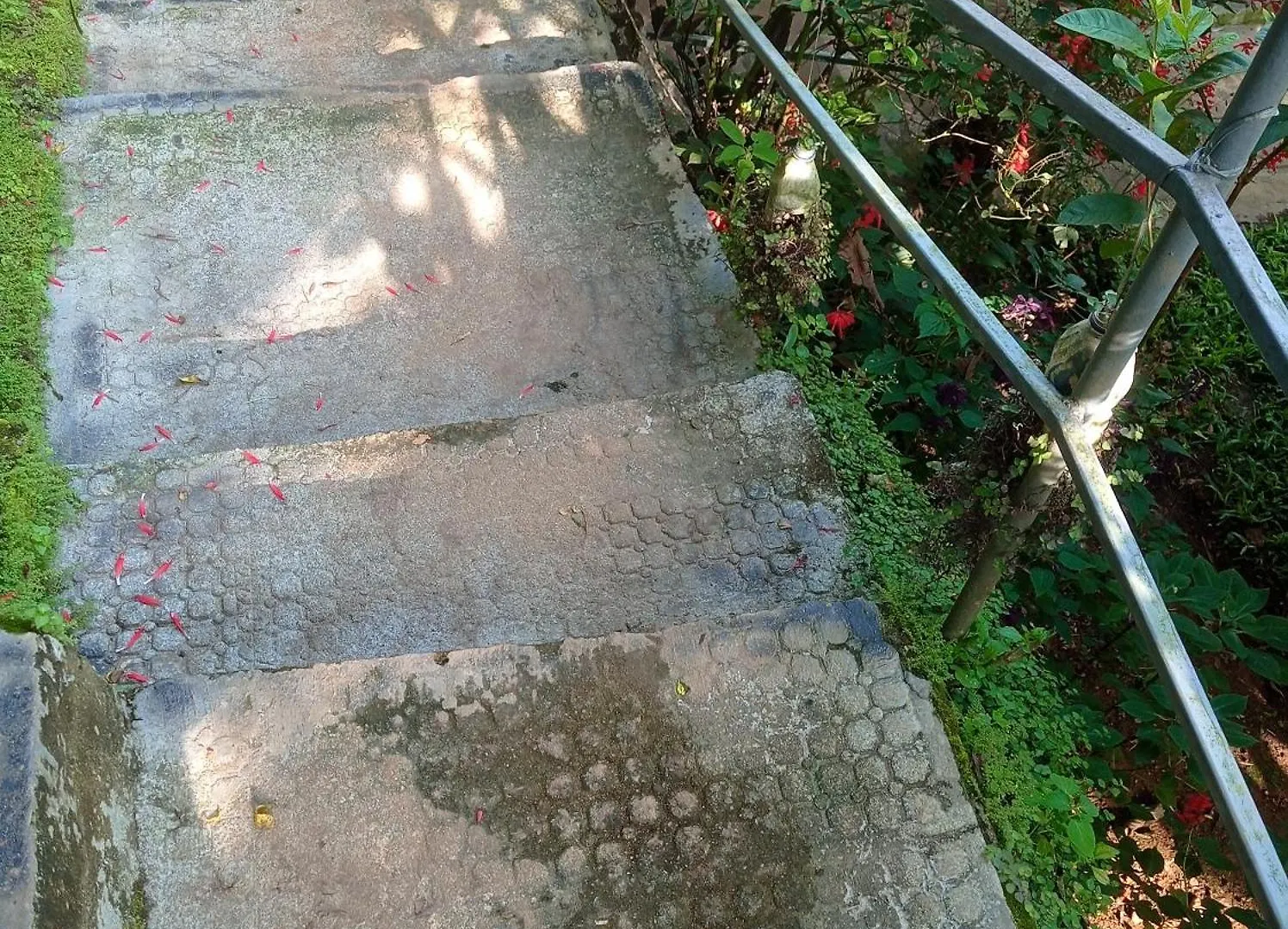 Munnar Home Stay Teadrops Plantation Villa Homestay